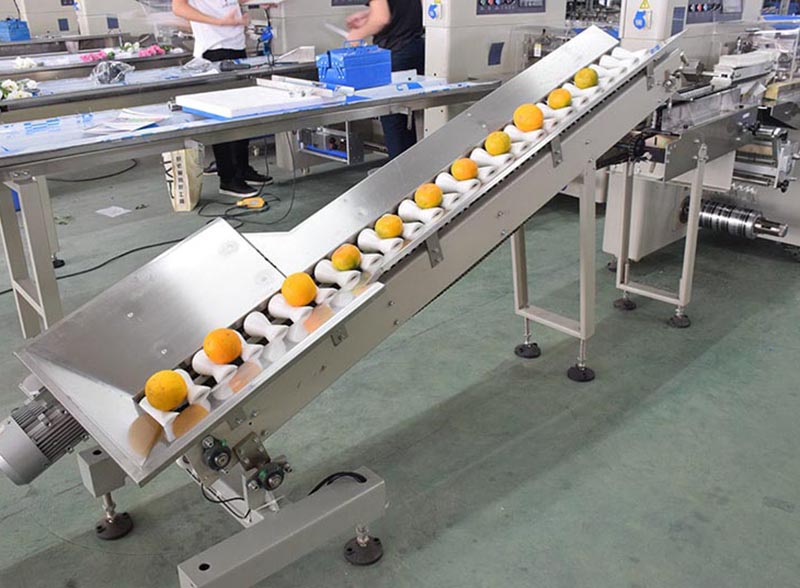 Automatic Spherical Fruit And Vegetable Packing Machine for Orange Lemon etc