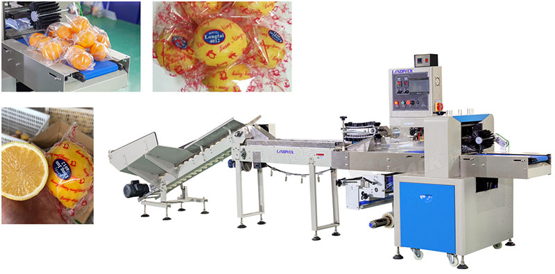 fruit packing machine