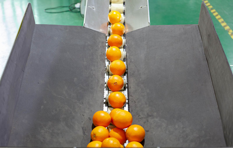 fruit wrapping machine
