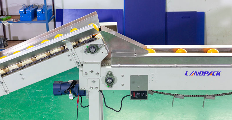 fruit packaging machine