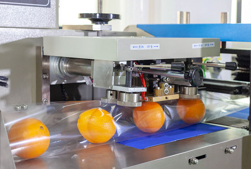 frozen fruit packaging machine