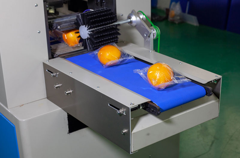 fruit packing machine price