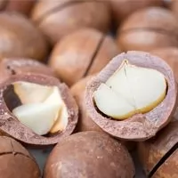 Macadamia