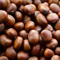 Chestnut