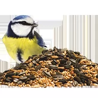 Bird Food