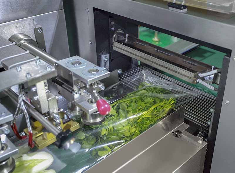 Automatic Lettuce Vegetable Packaging Machine