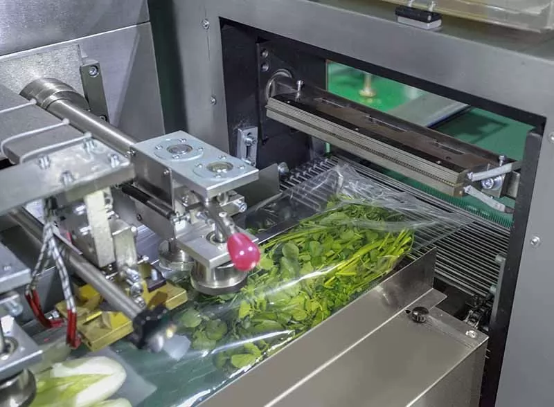 lettuce packaging machine