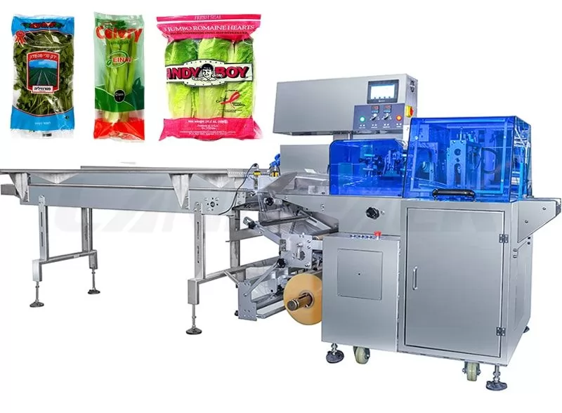 Automatic Fruit/ Vegetable Reciprocating Flow Pack Machine (HFFS) With Three Servo