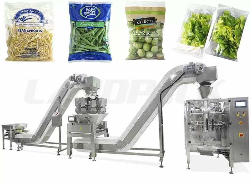 vegetable salad packaging machine