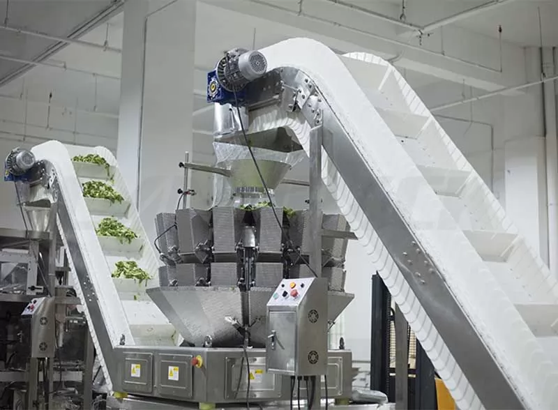 vegetable packing machine