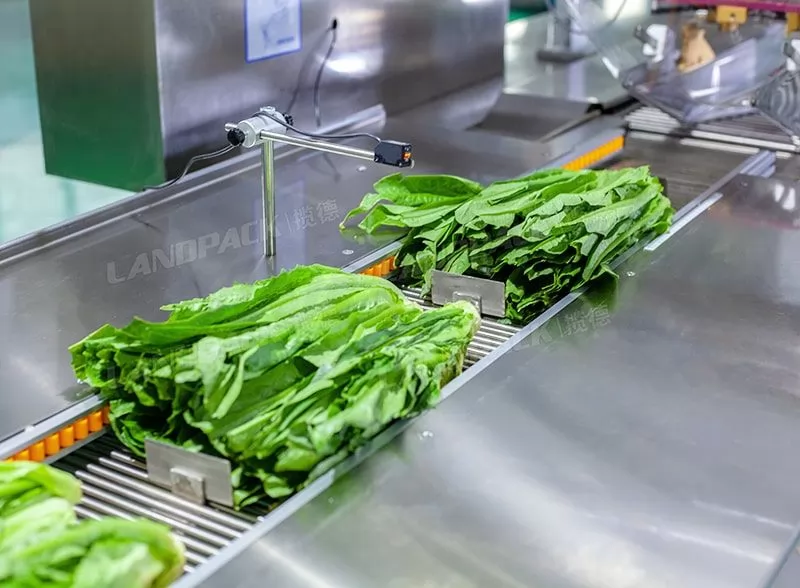 vegetable wrapping machine