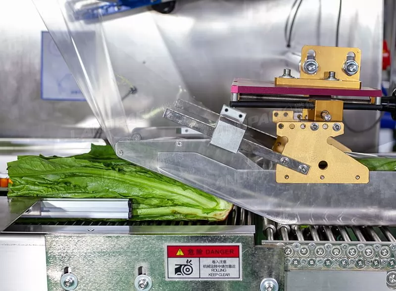 vegetable packing machine