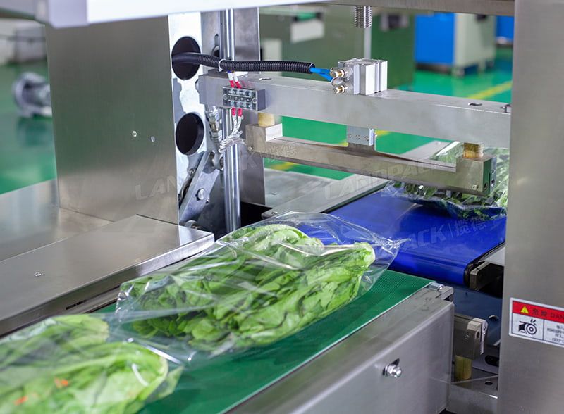 vegetable packaging equipment