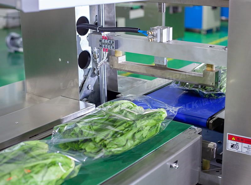 Automatic Servo Vegetable Packaging Equipment