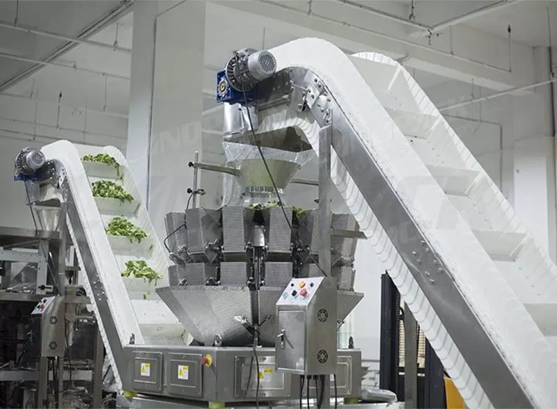 vegetable packing machine price