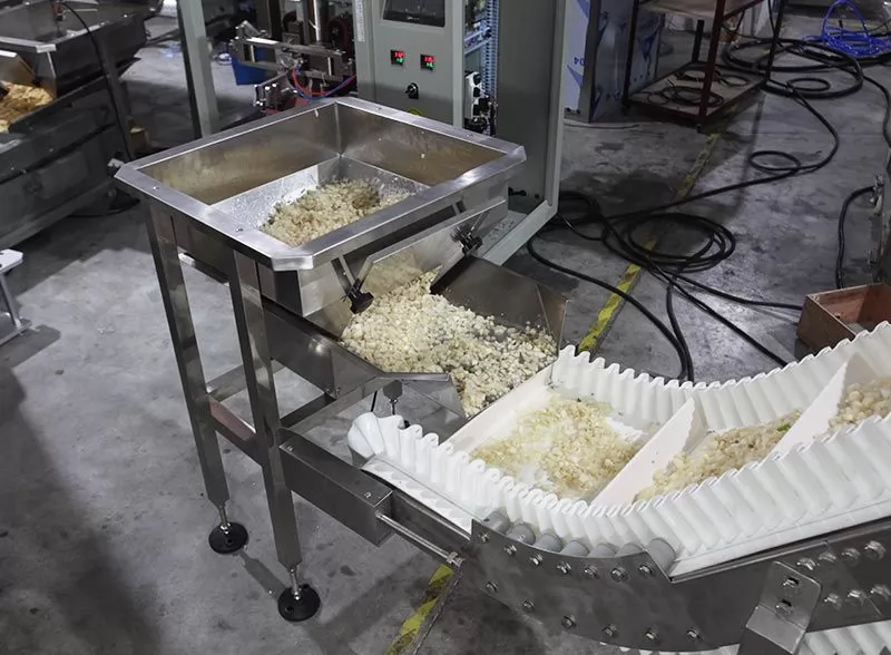 frozen food packing machine