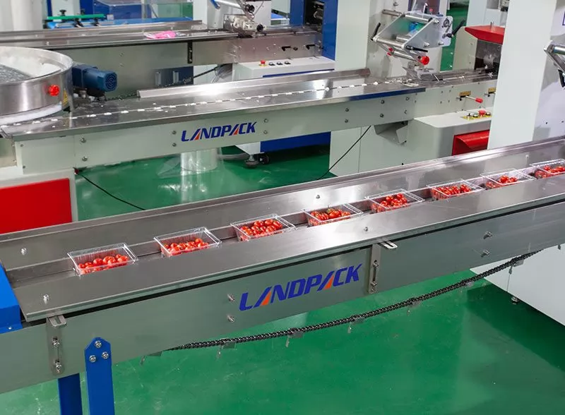 chips packing machine