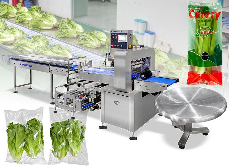 China Leading vegetable and fruit packing machine manufacturer