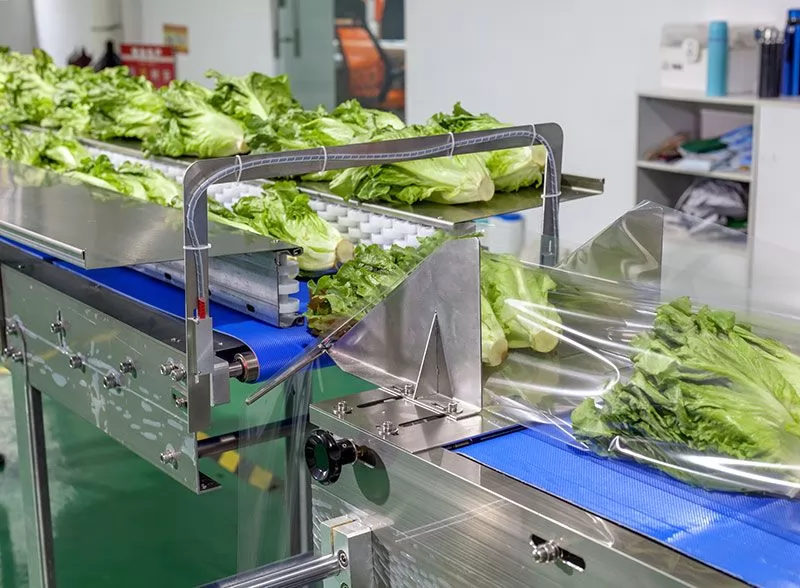 vegetable wrapping machine