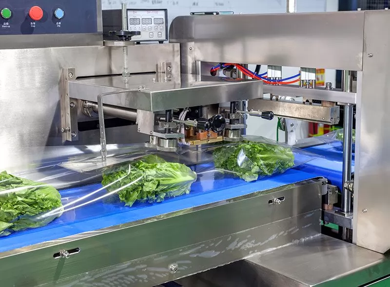 lettuce packaging machine