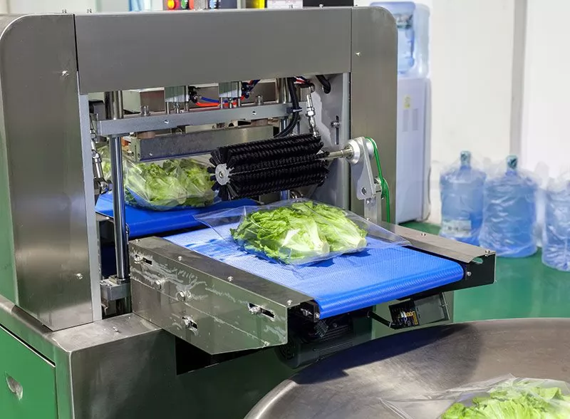 vegetable packing machine price