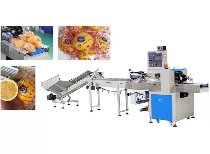 Professional Manufacturer Of Fruit Packaging Machines