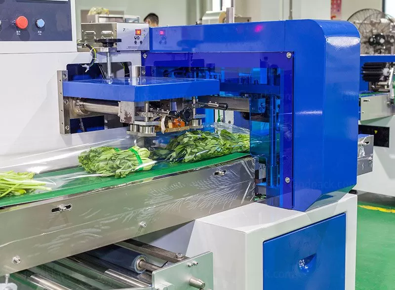 vegetable wrapping machine