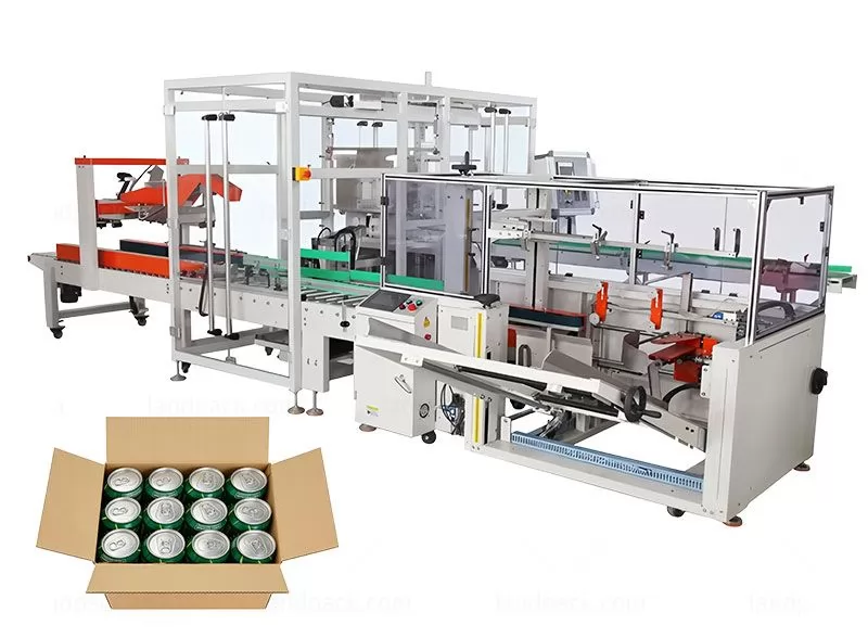 Automatic Robotic Case Packing System Case Packing Machine for Cartons, Case