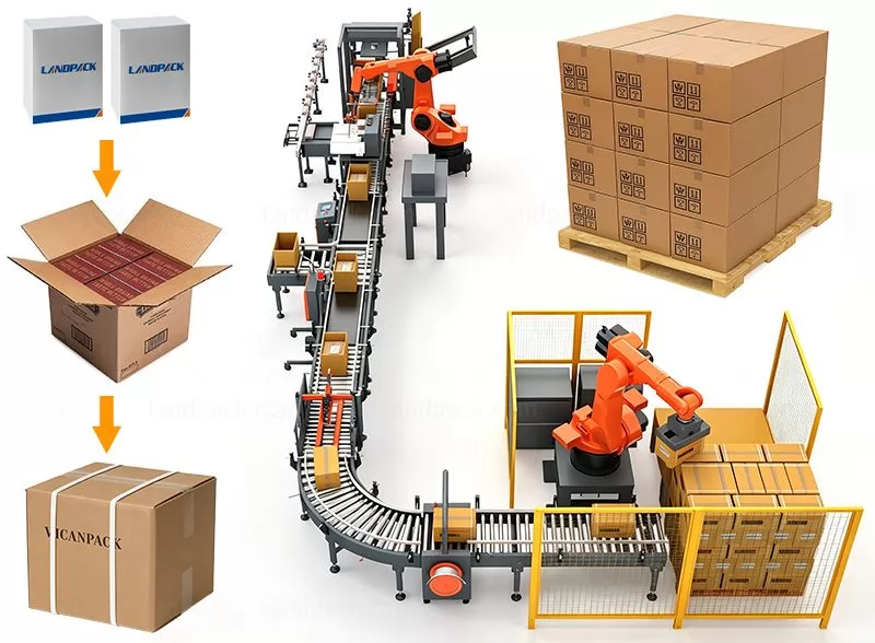 Automatic Carton Case Packing System End of Line Packing System with Palletizer
