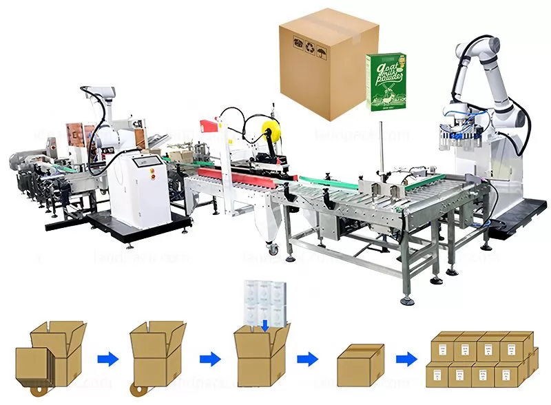 Fully Automatic Delta Robot Case Packer Palletizing Packing System