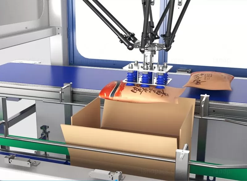 case packing system