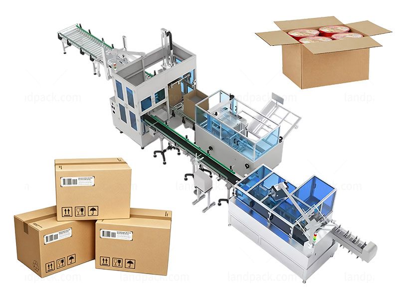 End of Line Packaging Solution Robotic Case Packaging System