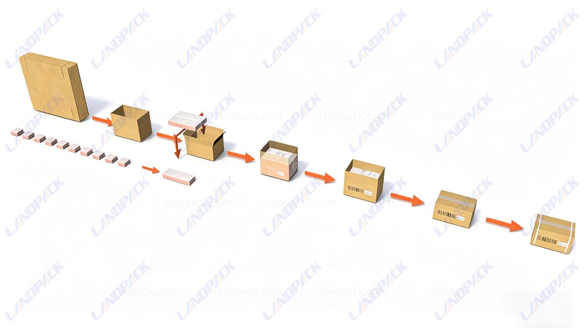 Automatic Carton Case Packing System End of Line Packing System with Palletizer Automatic Carton Case Packing System End of Line Packing System with Palletizer