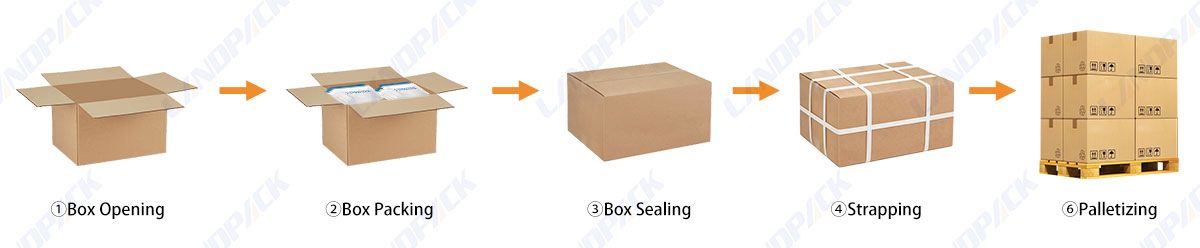 Fully Automatic Case Carton Packing Delta Robot Palletizer Packing System Fully Automatic Case Carton Packing Delta Robot Palletizer Packing System