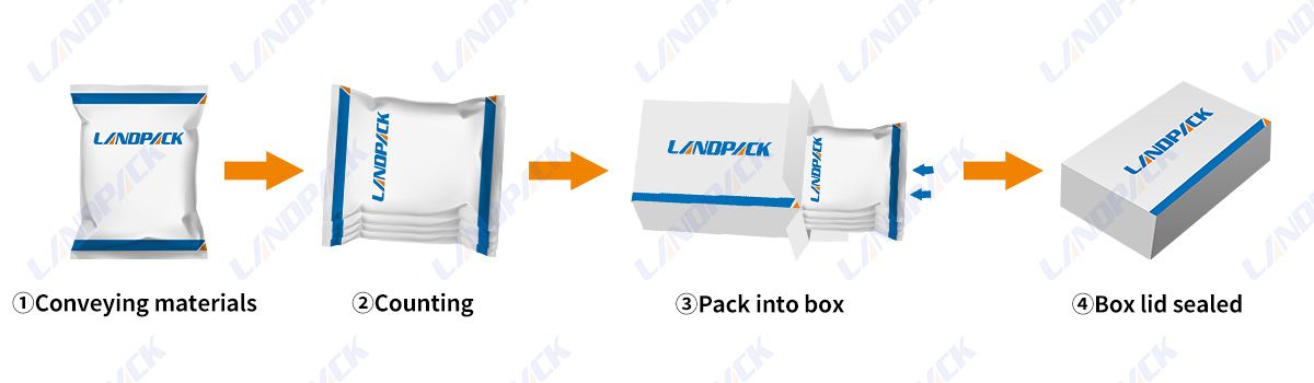 Fully Automatic Pouch Bag Sachet Cartoner Cartoning Machine Packing System Fully Automatic Pouch Bag Sachet Cartoner Cartoning Machine Packing System