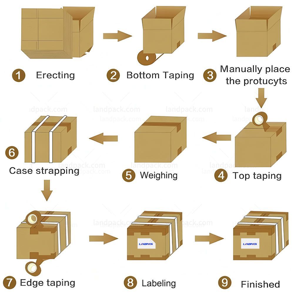 Fully Automatic Case Erectors Sealer Strapping Packaging System Fully Automatic Case Erectors Sealer Strapping Packaging System